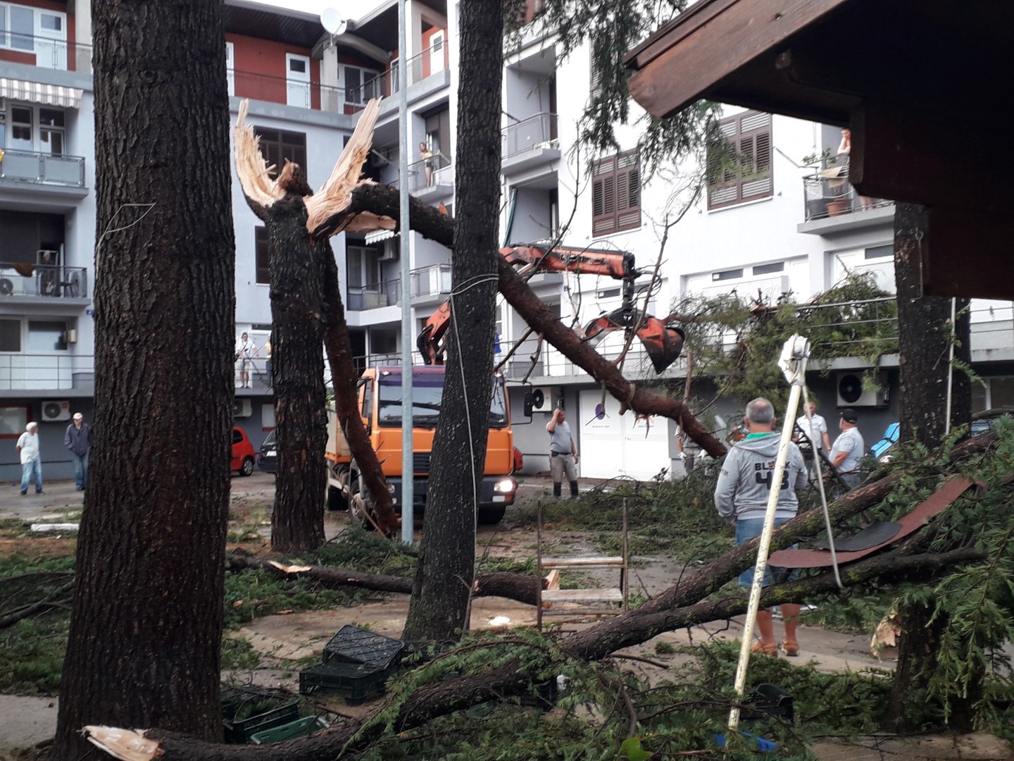 Umag: U neverinu stradali domovi prilikom rušenja stabla. Stanari bijesni, u suzama prozivali Grad za nebrigu